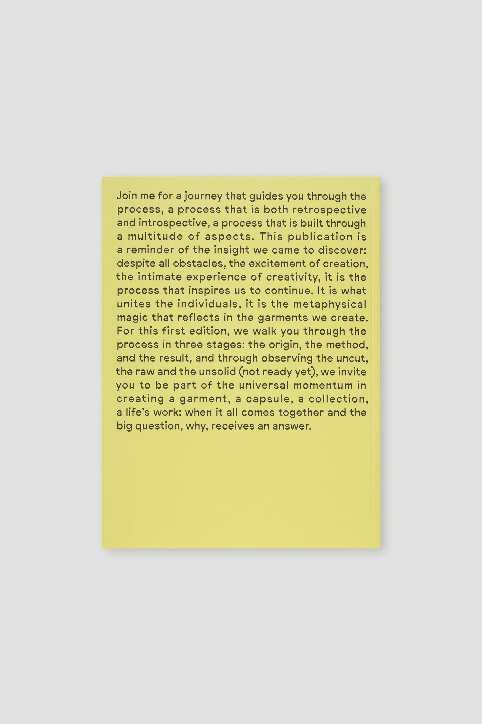 THE PROCESS - Image 3